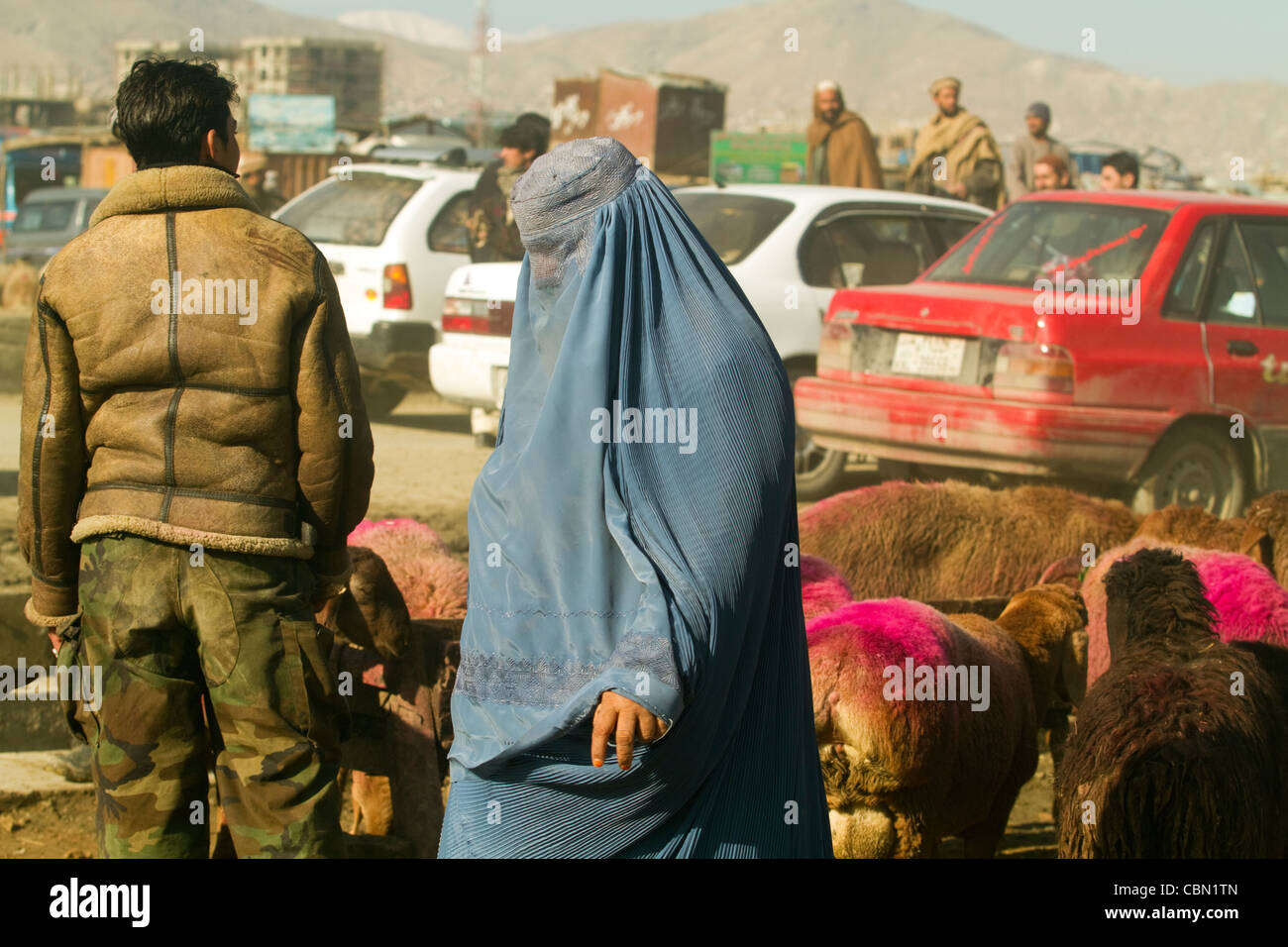 Marché de bétail et de moutons à Kaboul en Afghanistan Banque D'Images