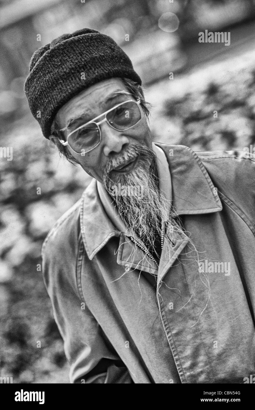 Portrait d'un homme élégant avec barbe blanche Van Mieu Hanoi Vietnam Banque D'Images