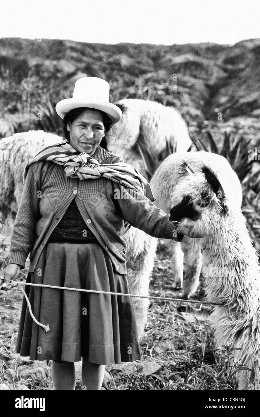 Femme en costume Inca avec des Lamas Cuzco Pérou Banque D'Images