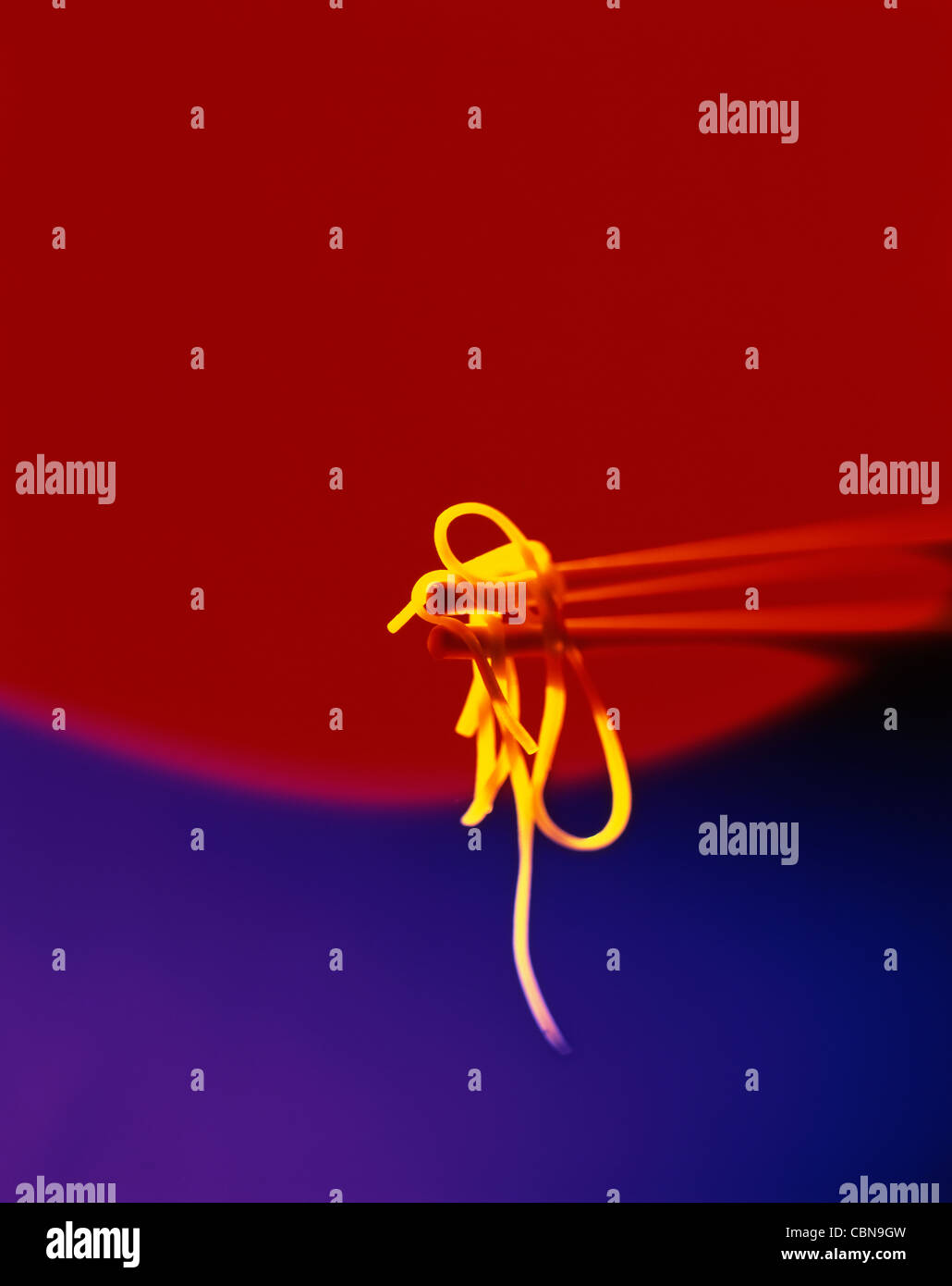 Baguettes & Noodles Banque D'Images