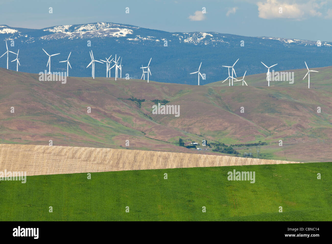 Les champs agricoles, éoliennes, près de Wasco, Oregon Banque D'Images