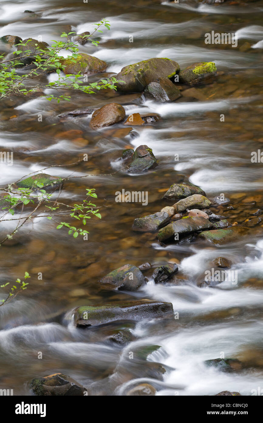 Tanner Creek, Columbia River Gorge, Oregon Banque D'Images