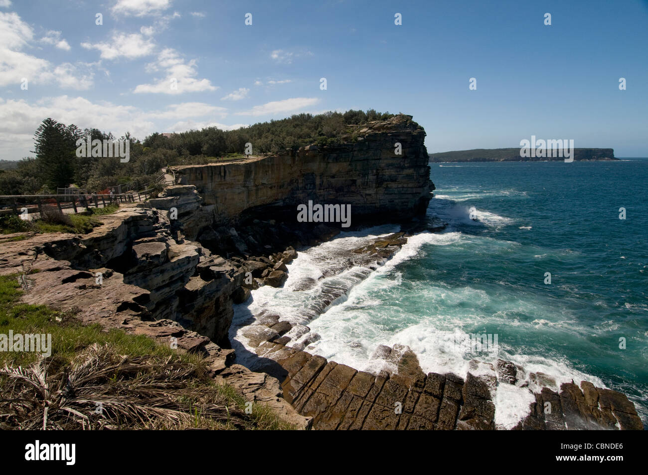 Gap Bluff à Watsons Bay dans le port de Sydney. Les hautes falaises font partie du parc national de Sydney, en Nouvelle-Galles du Sud, en Australie. Banque D'Images