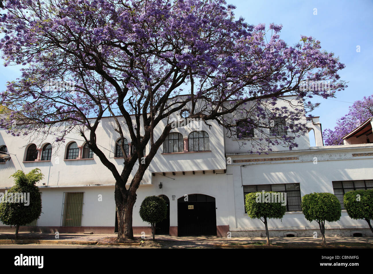 Coyoacan, Mexico, Mexique, Amérique du Nord Banque D'Images