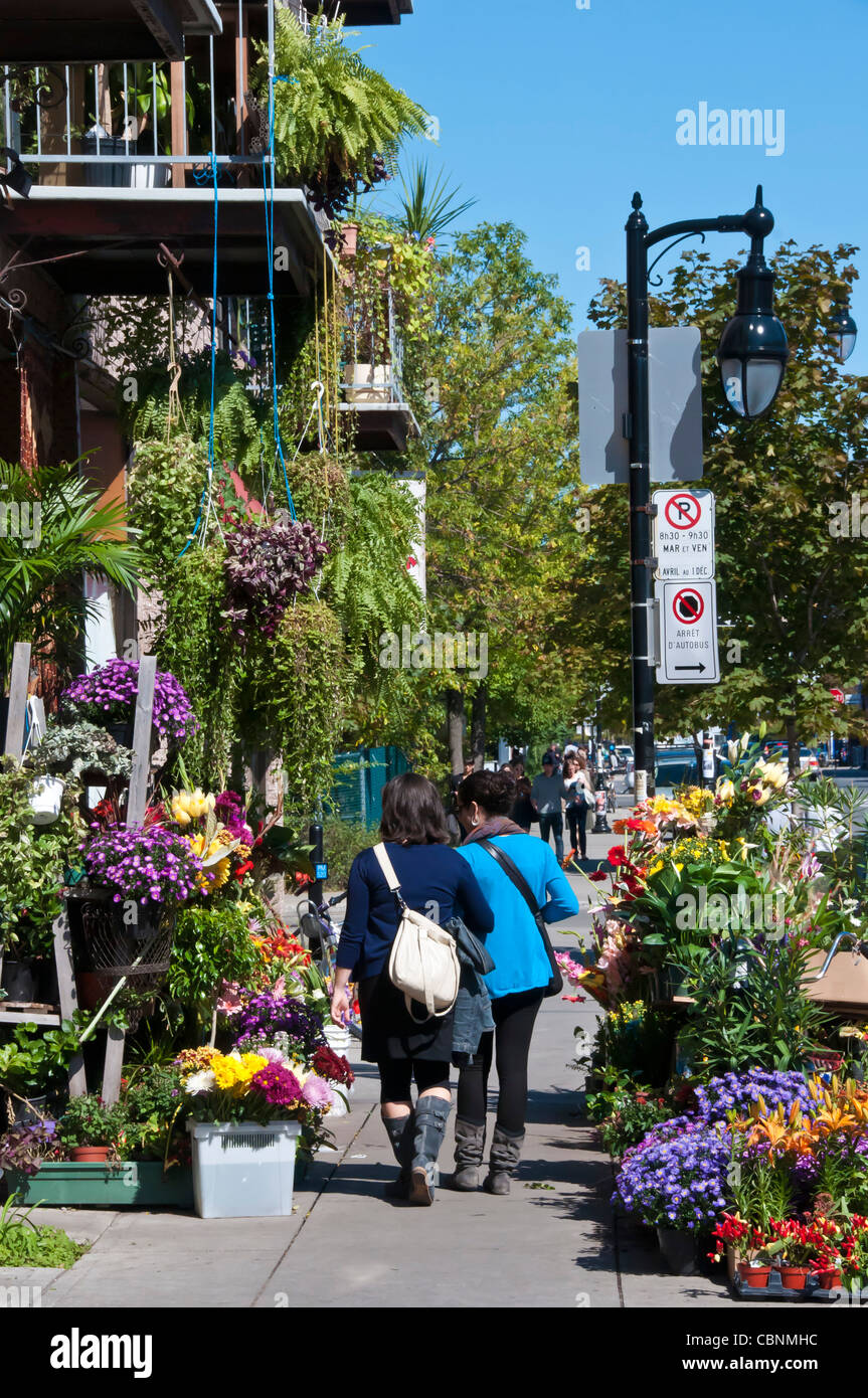 La rue Bernard secteur Mile-end Montréal Canada Banque D'Images