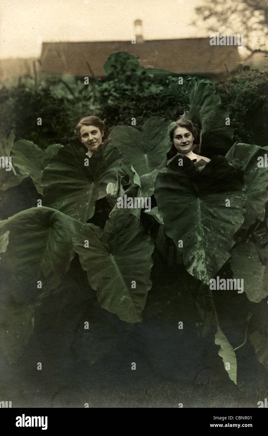 Deux jeunes filles qui fleurit entre les oreilles d'éléphant Banque D'Images