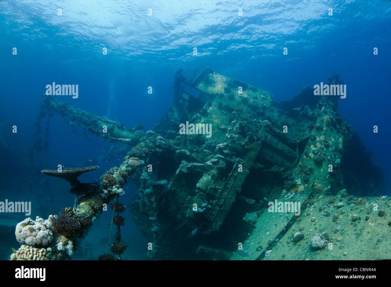 L'épave à Abu Ghusoon près de Marsa Alam, sud de la mer Rouge, Egypte Banque D'Images