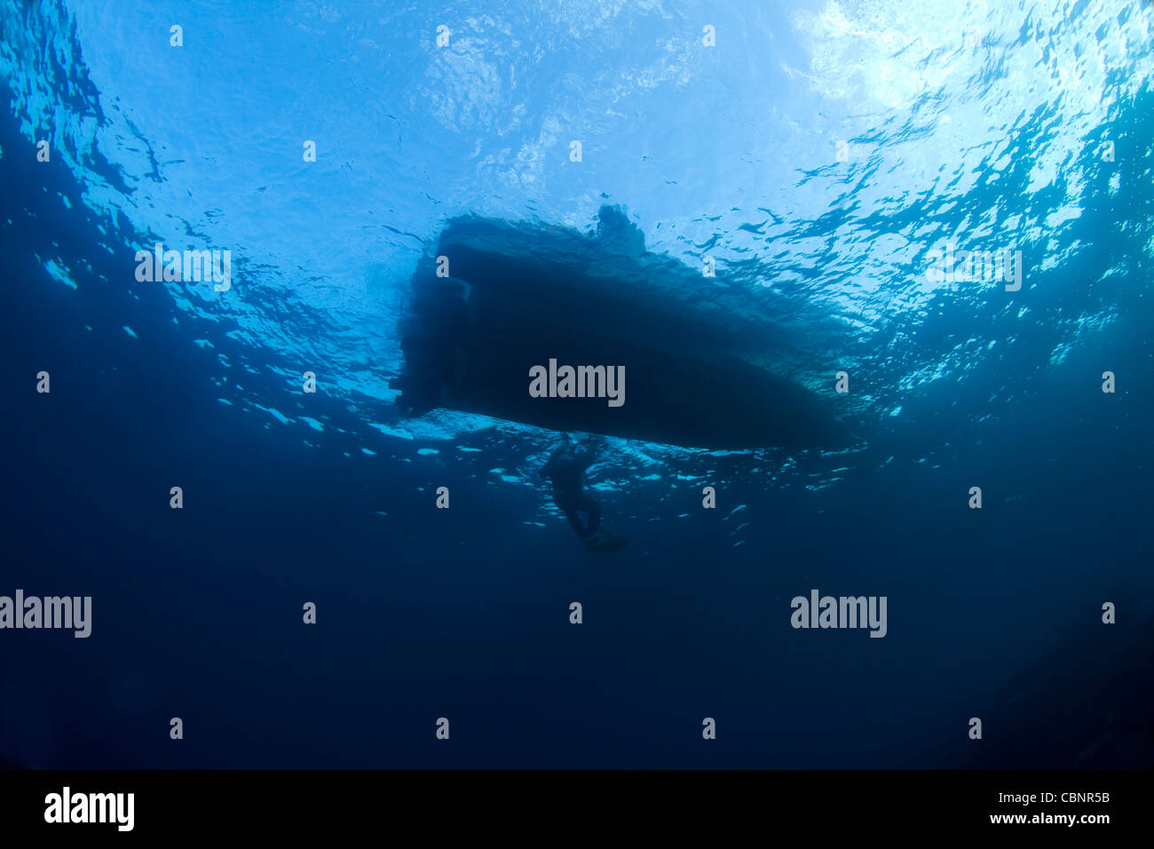 Plongeur et un bateau à la surface de la mer dans la mer Rouge, Egypte Banque D'Images