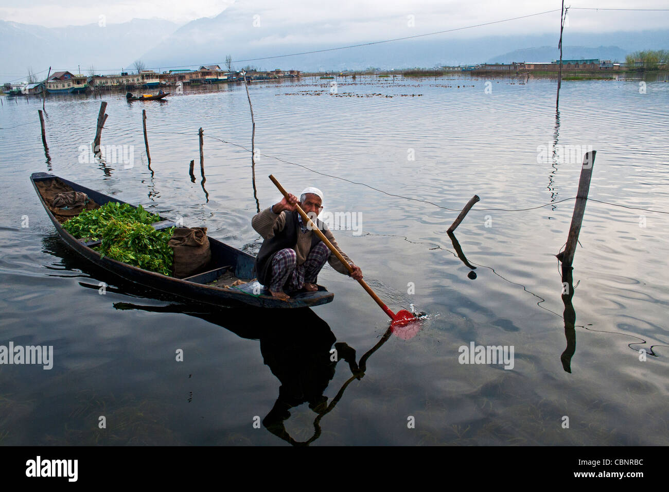 Les Kashmiri font le trajet entre le lac Dal à Srinagar et ramer un shikara traditionnel/canot/bateau de campagne, Cachemire, Inde Banque D'Images