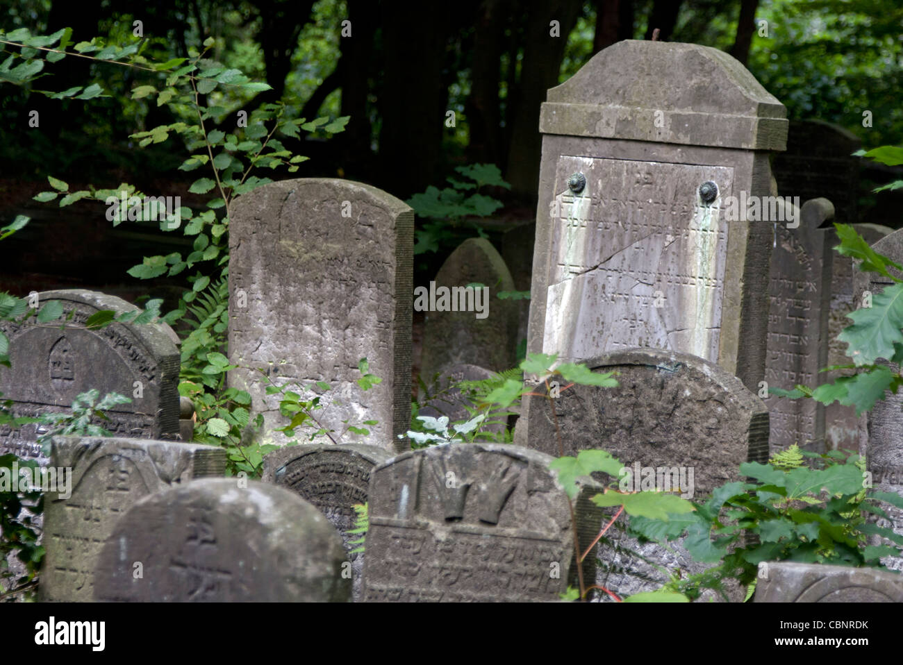 Vieux cimetière pierres tombales, Hambourg, Allemagne Banque D'Images