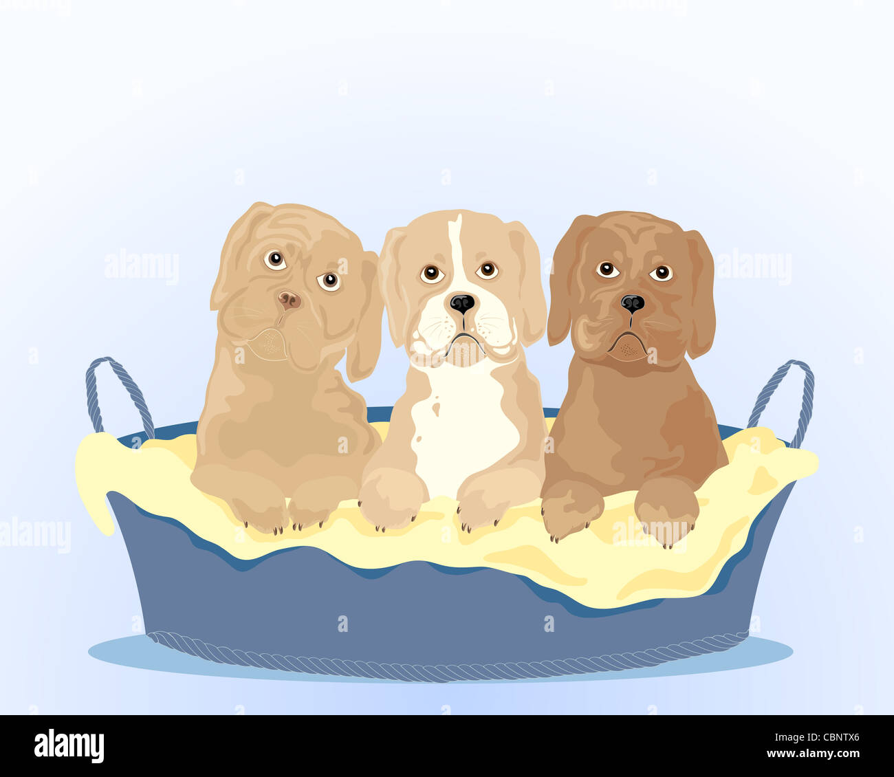 Une illustration de trois superbes jeunes chiots dans un panier de chien sur un fond bleu clair Banque D'Images