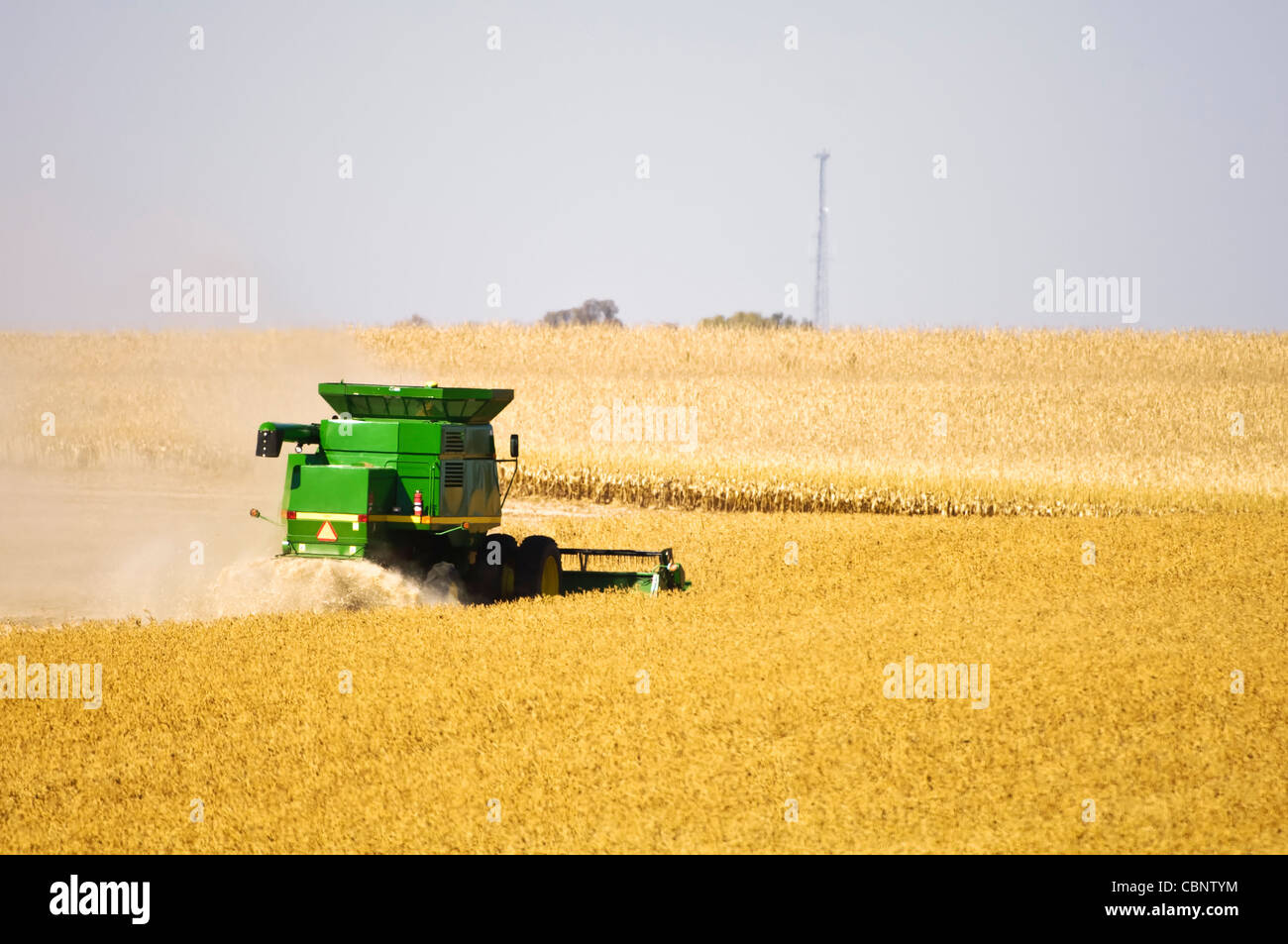 Combiner aux champs de soja dans le midwest des États-Unis. Banque D'Images