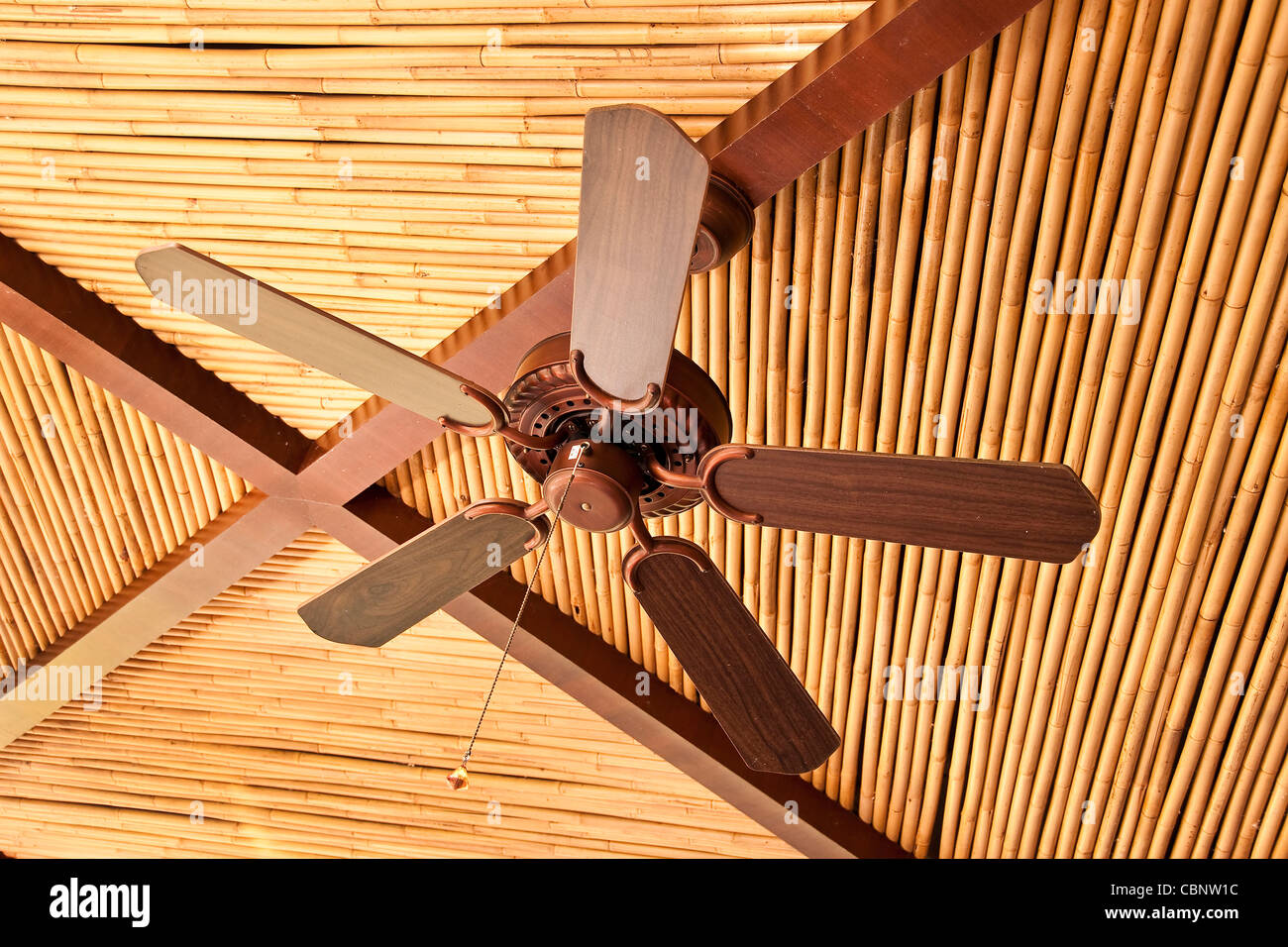 Ventilateur de plafond en bois Banque D'Images