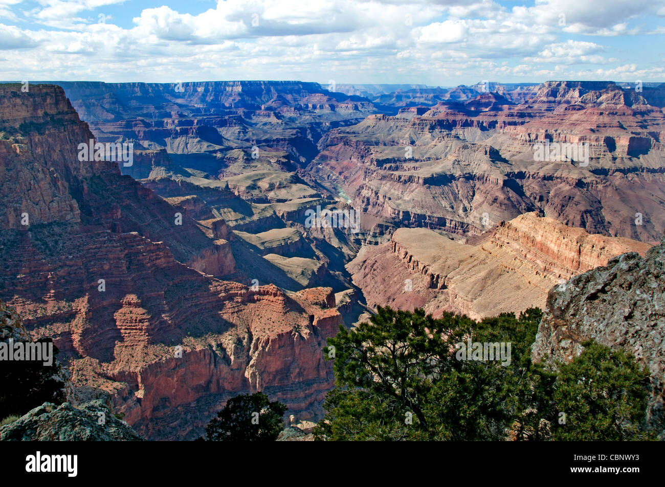 Grand Canyon , National Park, Arizona États-Unis Banque D'Images