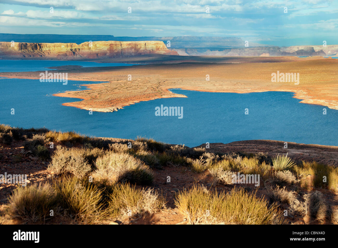 Désert de l'Utah, formations de grès, lac Powell, Glenn Canyon Banque D'Images