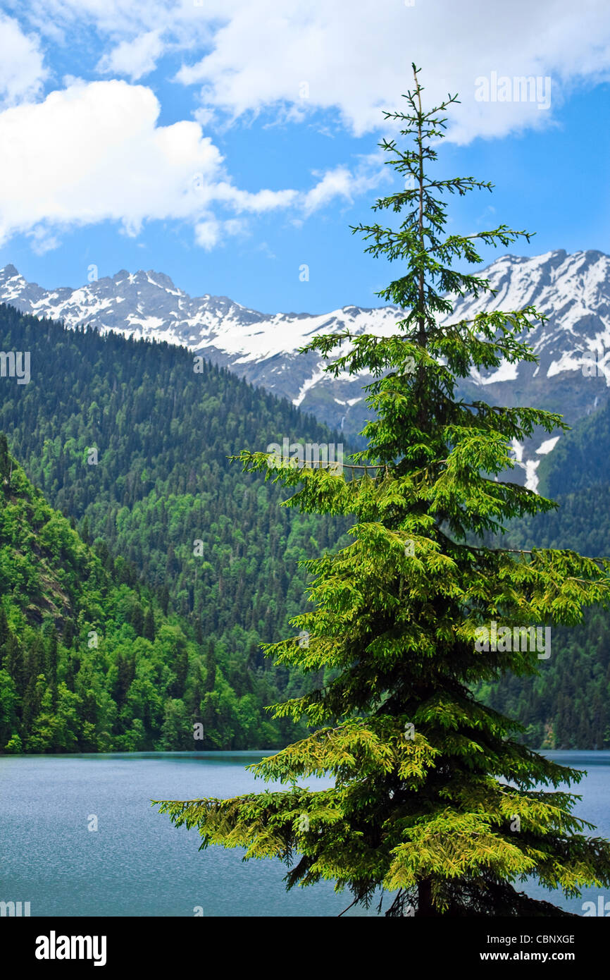 Le lac de montagnes de neige paysage avec ciel nuageux et arbre en premier plan Banque D'Images