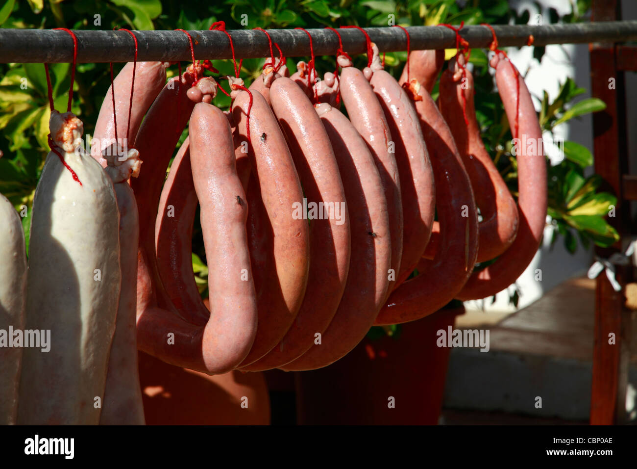 Saucisses fraîchement fait accroché dans le soleil pour sécher, l'abattage de porcs traditionnels Ibiza Banque D'Images