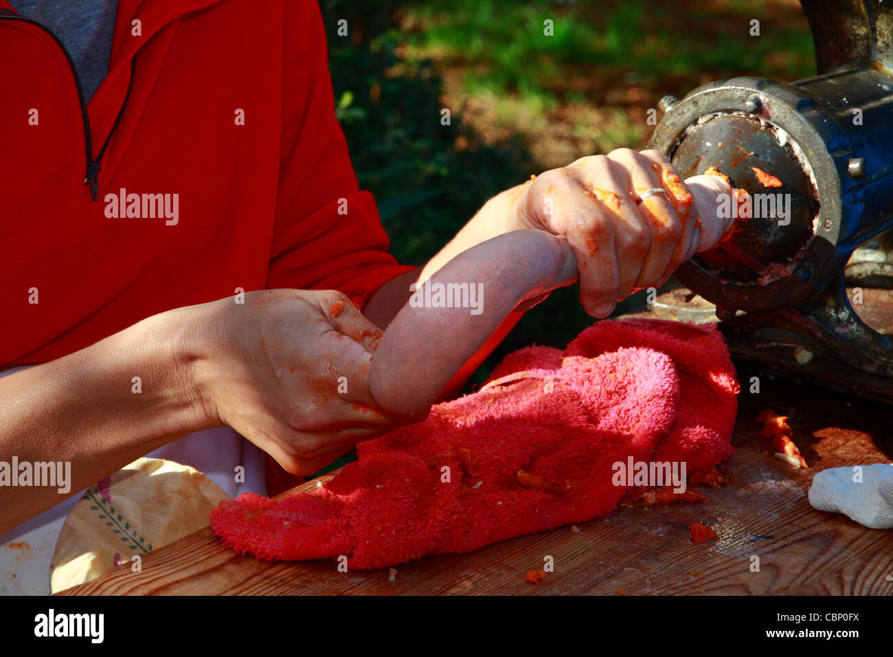 Femme de remplir les intestins de porc à la viande hachée et des épices pour faire des saucisses, vue de détail Banque D'Images