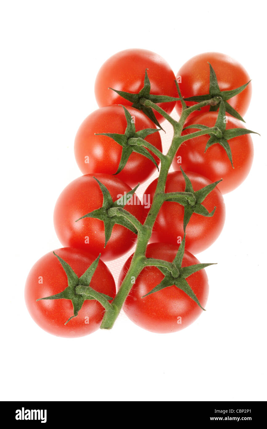 Les tomates de vigne frais et sain sur un fond blanc avec un chemin de détourage et aucun peuple Banque D'Images