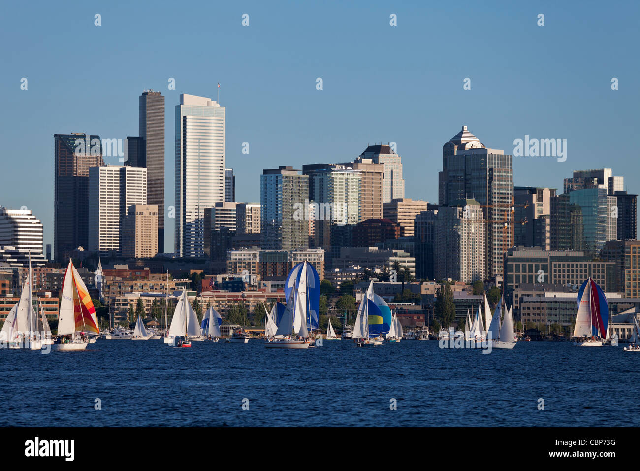 Duck Dodge, un voilier de course sur le lac Union, Seattle, Washington, USA Banque D'Images