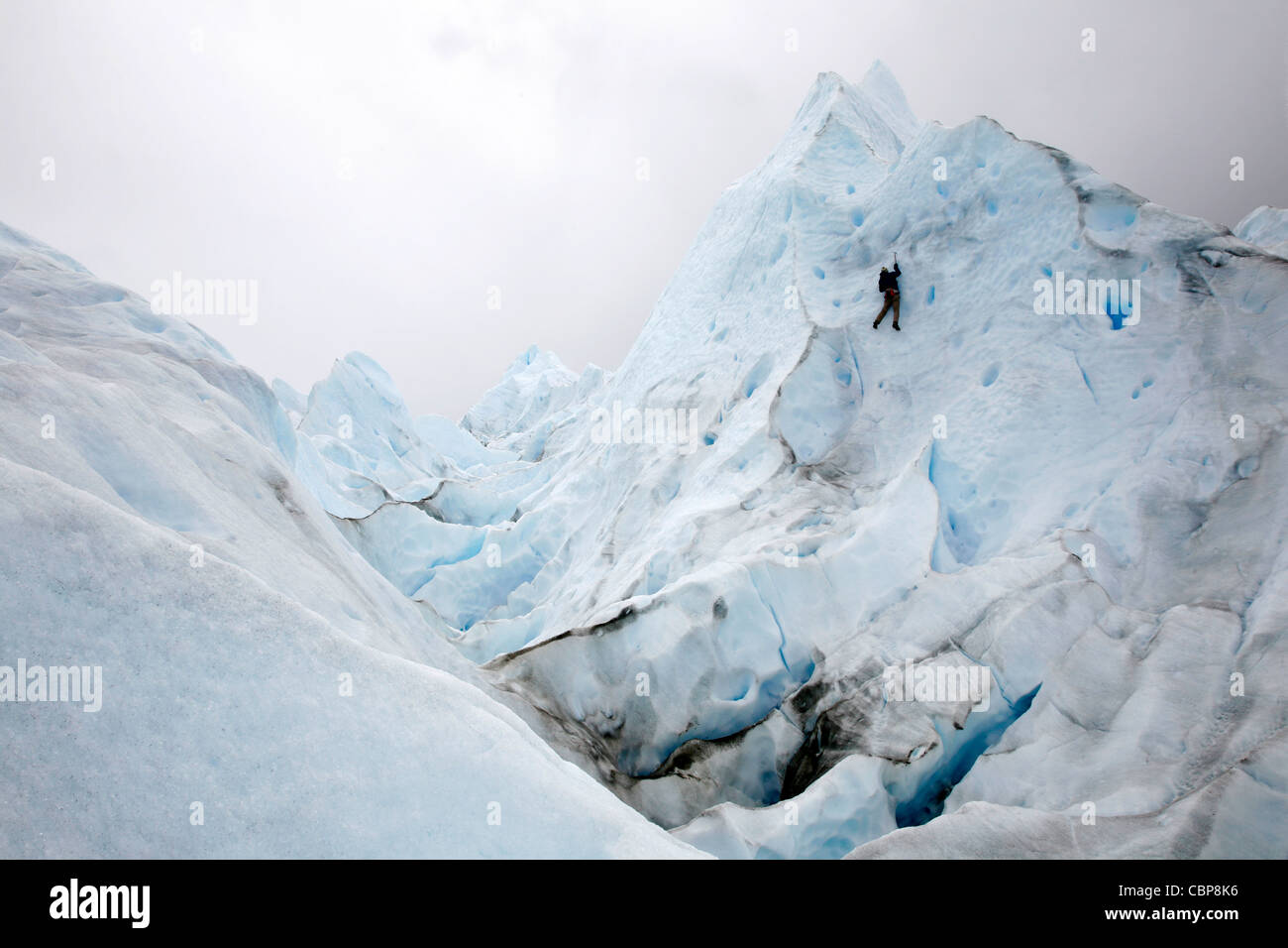 Homme de grimper sur le glacier Perito Moreno. Le Parc National Los Glaciares, El Calafate, province de Santa Cruz. La Patagonie. L'Argentine. Banque D'Images