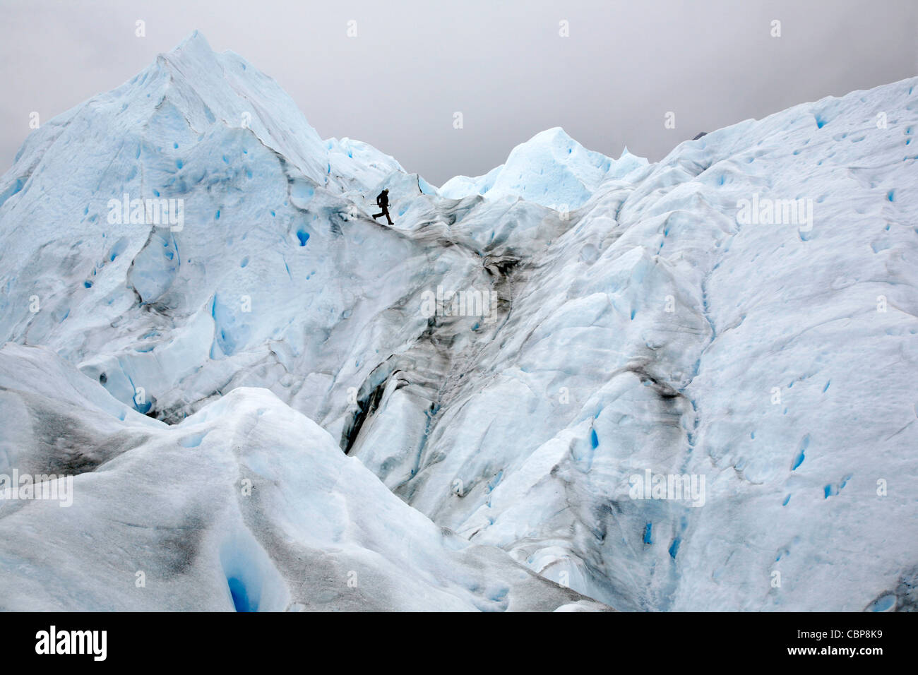 Homme de grimper sur le glacier Perito Moreno. Le Parc National Los Glaciares, El Calafate, province de Santa Cruz. La Patagonie. L'Argentine. Banque D'Images