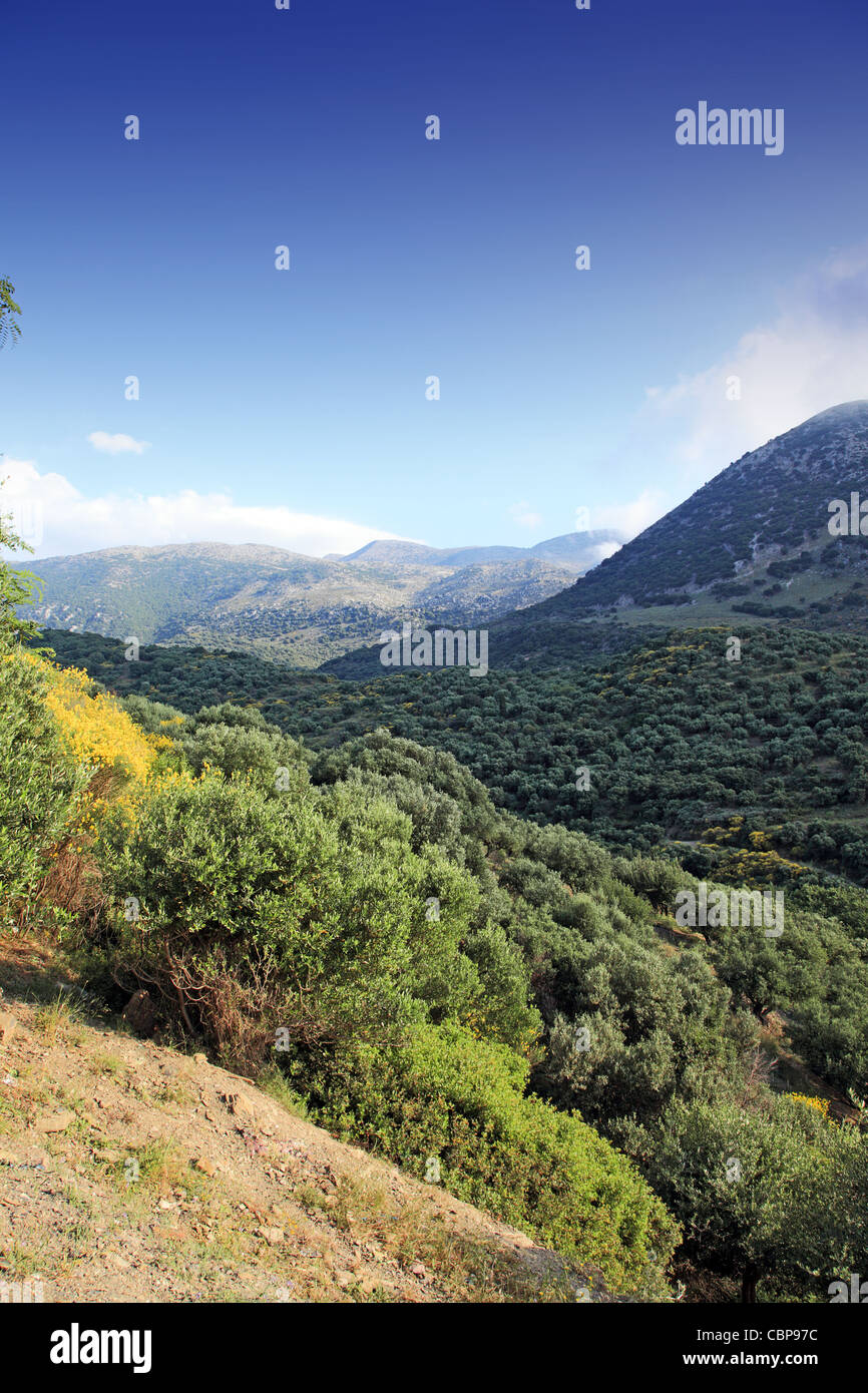 Paysage de Crète. Lassithi, Crète, Grèce. Banque D'Images