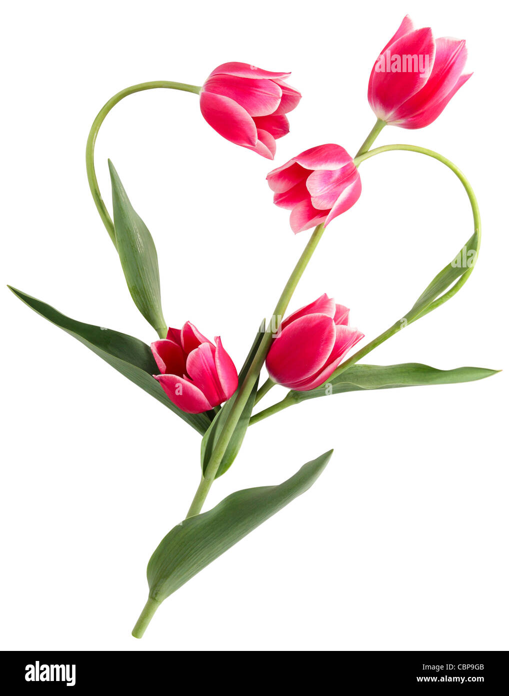 Composition De Fleurs Fleche D Amour En Coeur Photo Stock Alamy