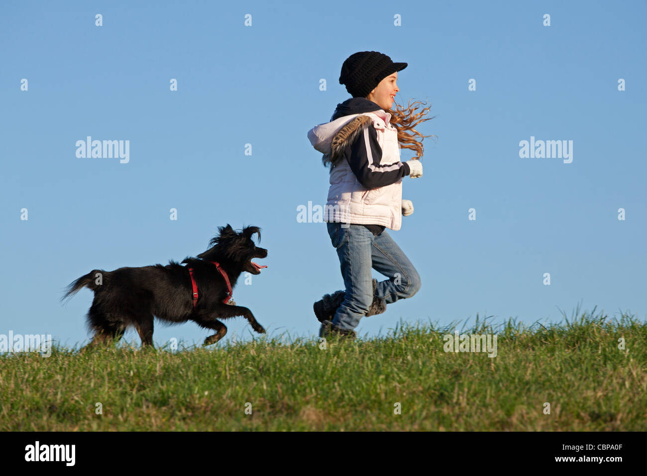 Jeune fille jouant avec un chien Banque D'Images