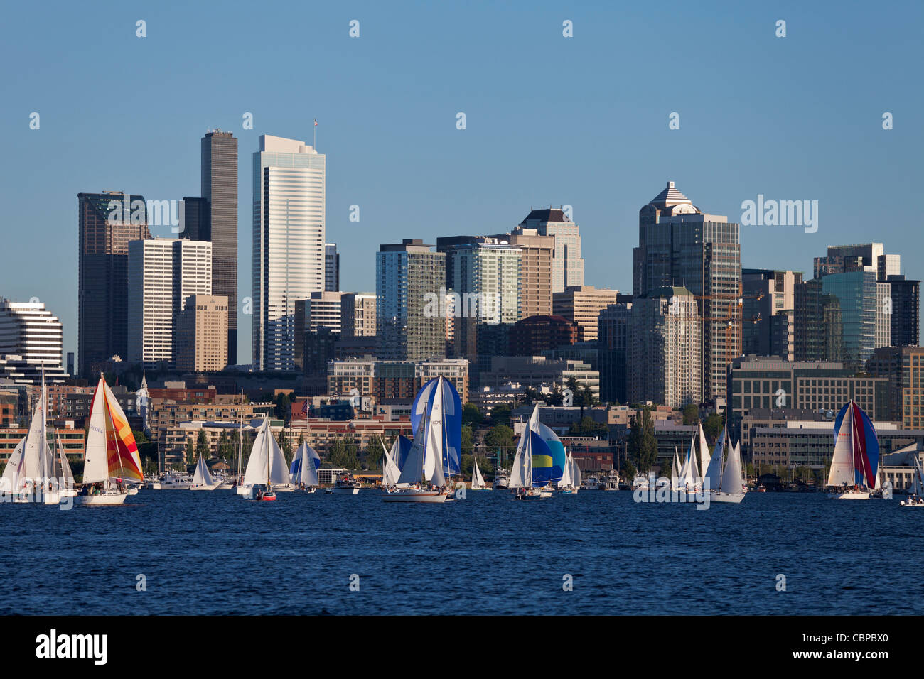 Duck dodge, un voilier de course sur le lac Union, Seattle, Washington, USA Banque D'Images