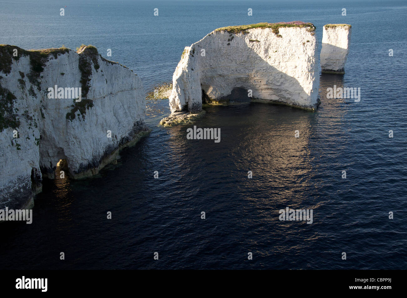 Old Harry Rocks. Piles de craie massive debout juste à côté de la de vertigineuses falaises de calcaire de la côte de Purbeck. Dorset, Angleterre, Royaume-Uni. Banque D'Images