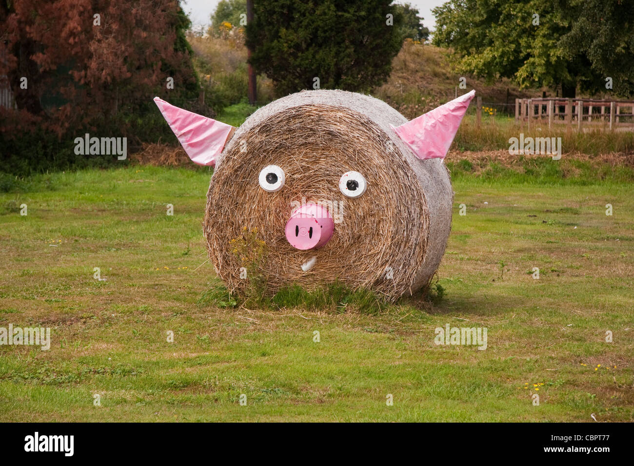 Le ballot de paille faite dans funny face Banque D'Images