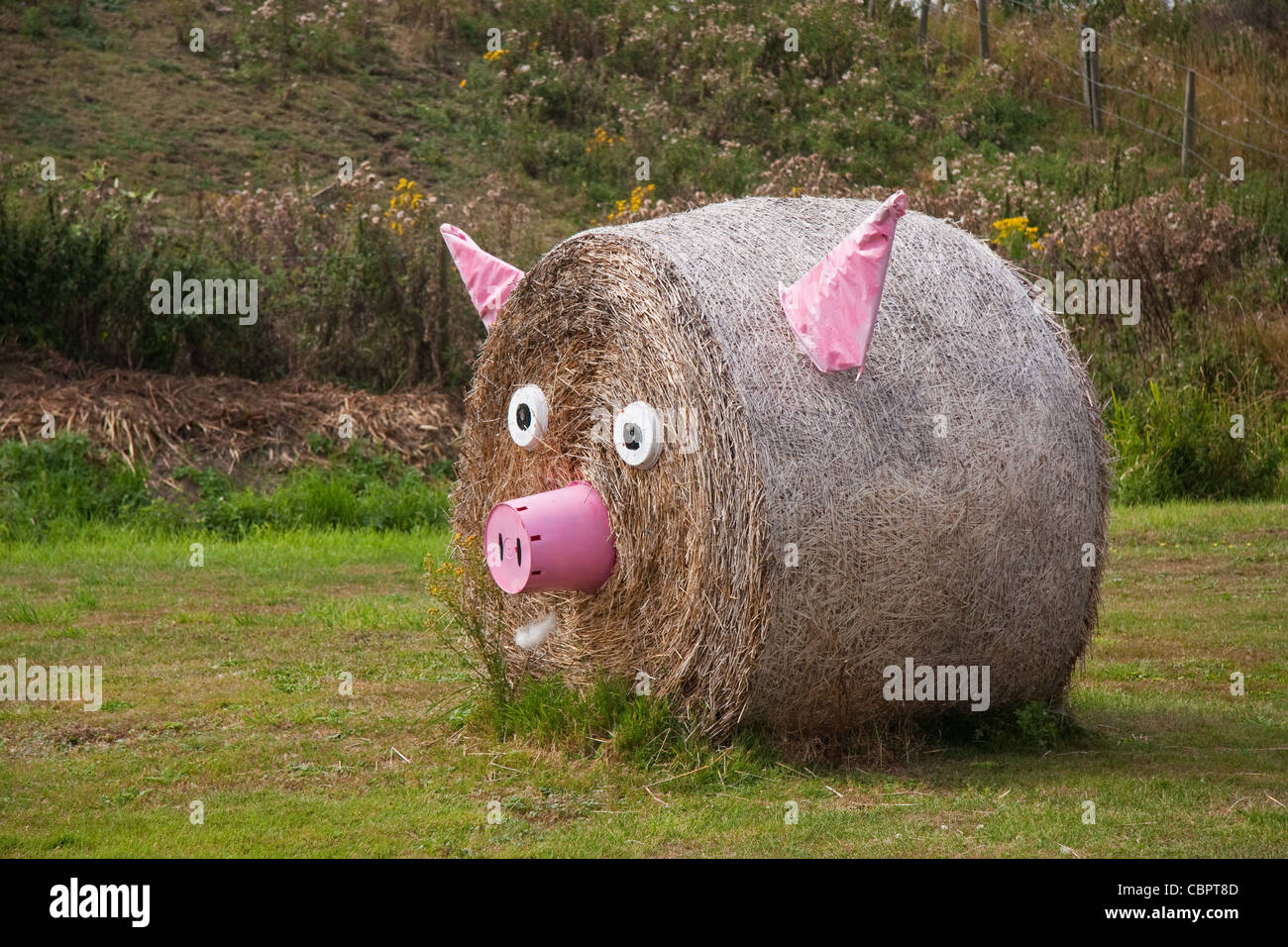 Le ballot de paille faite dans funny face Banque D'Images