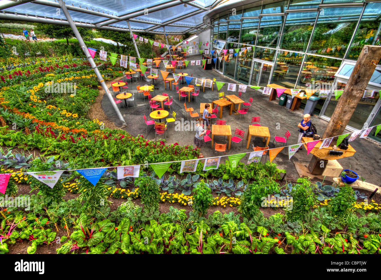 Eden Project Cornwall Biodome Bio Nature sphrere Palm tree Banque D'Images