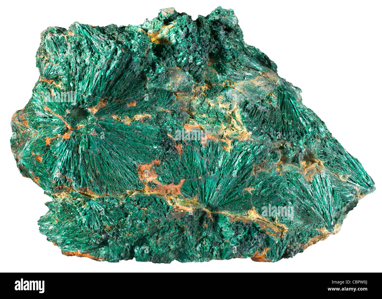 Malachite fibreuse de la Copper Queen Mine, Bisbee, Arizona Banque D'Images