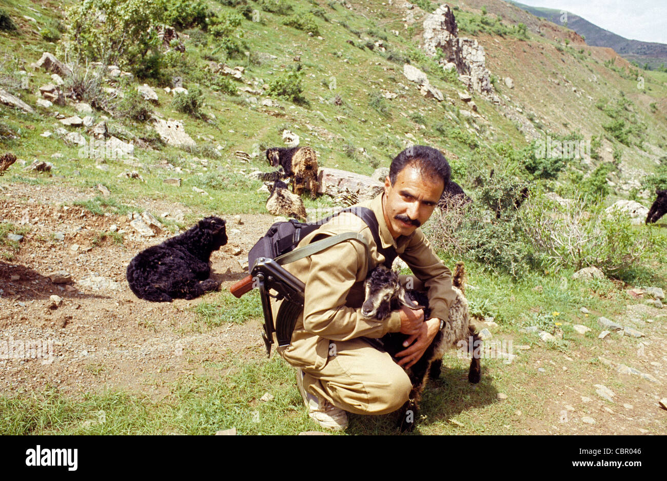 Parti des Travailleurs du Kurdistan PKK guérilleros dans Zele frontière entre le Kurdistan irakien, d'où ils ont organisé des opérations. Les chèvres. Banque D'Images