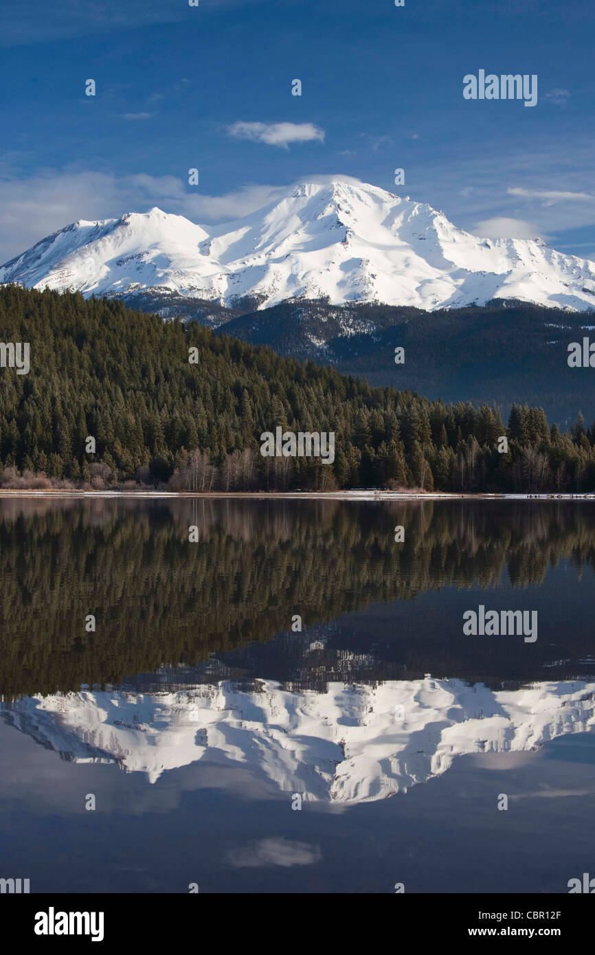 États-unis, Californie, montagnes du Nord, le Mont Shasta, vue de Mt. Shasta, altitude 14 162 pieds du lac Siskiyou, matin, l'hiver Banque D'Images