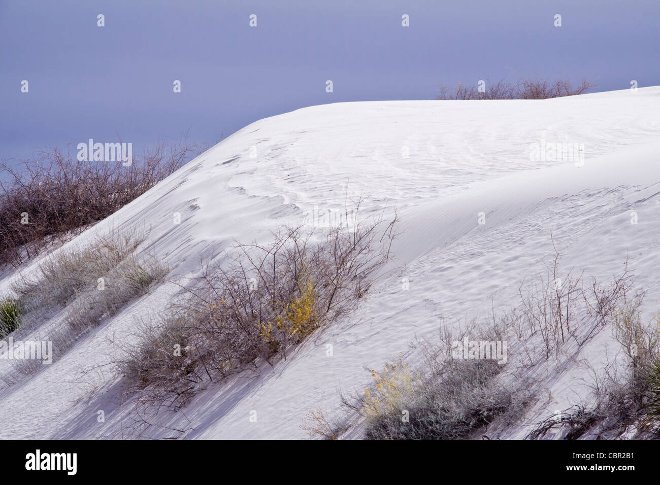 Dunes de sable au parc national de White Sands (anciennement Monument national) au Nouveau-Mexique, une matinée froide en février. Banque D'Images