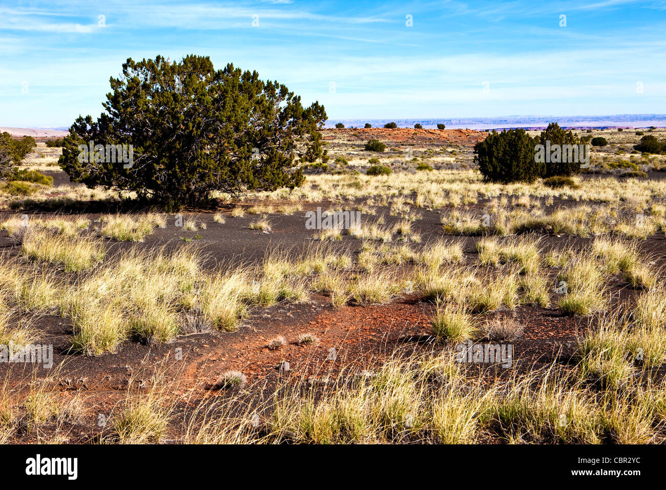 Painted Desert, Wupatki National Monument, Arizona Banque D'Images