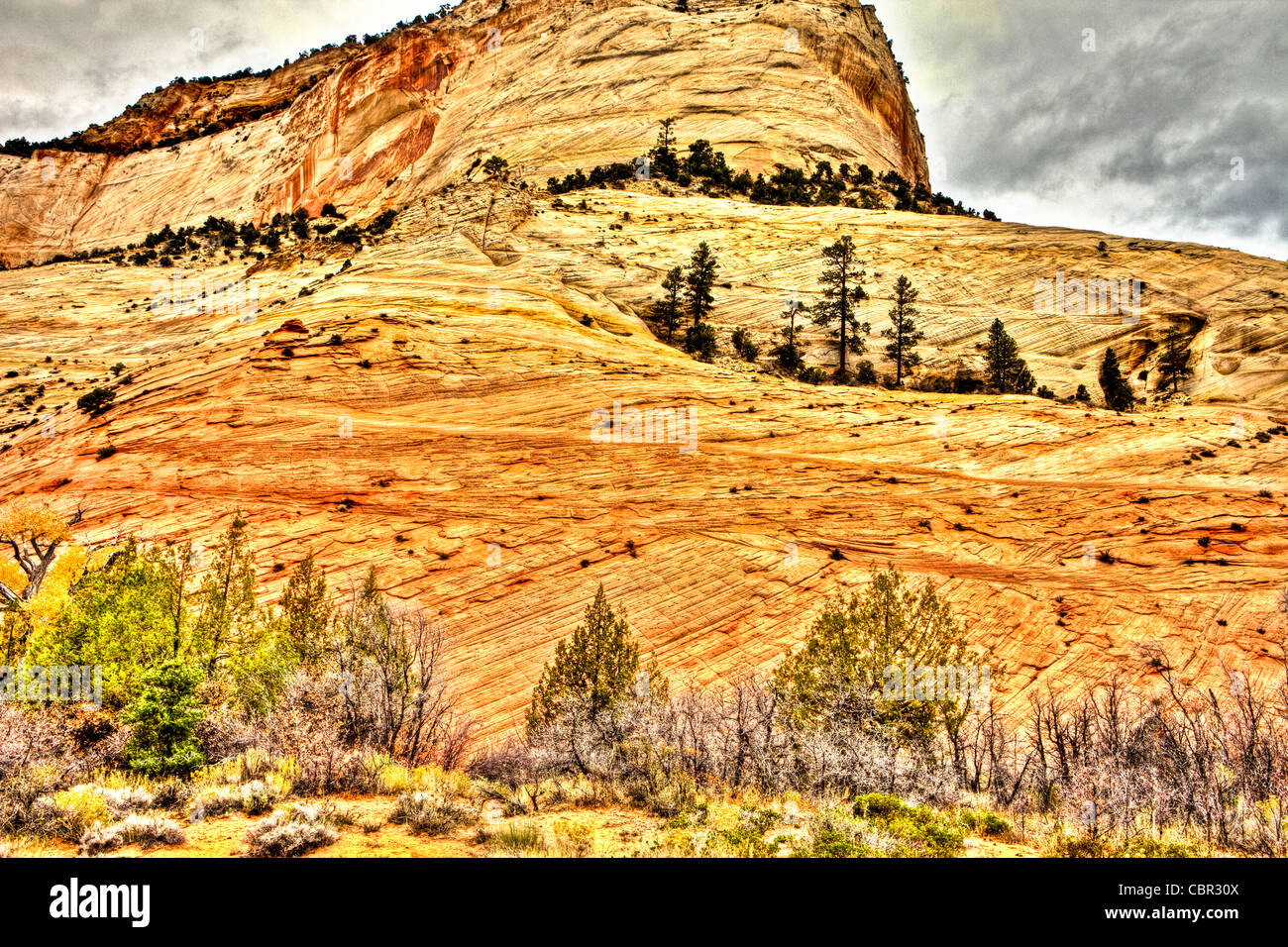 Vue du Mt Zion. Carmel Highway, Zion National Park, Utah, USA Banque D'Images