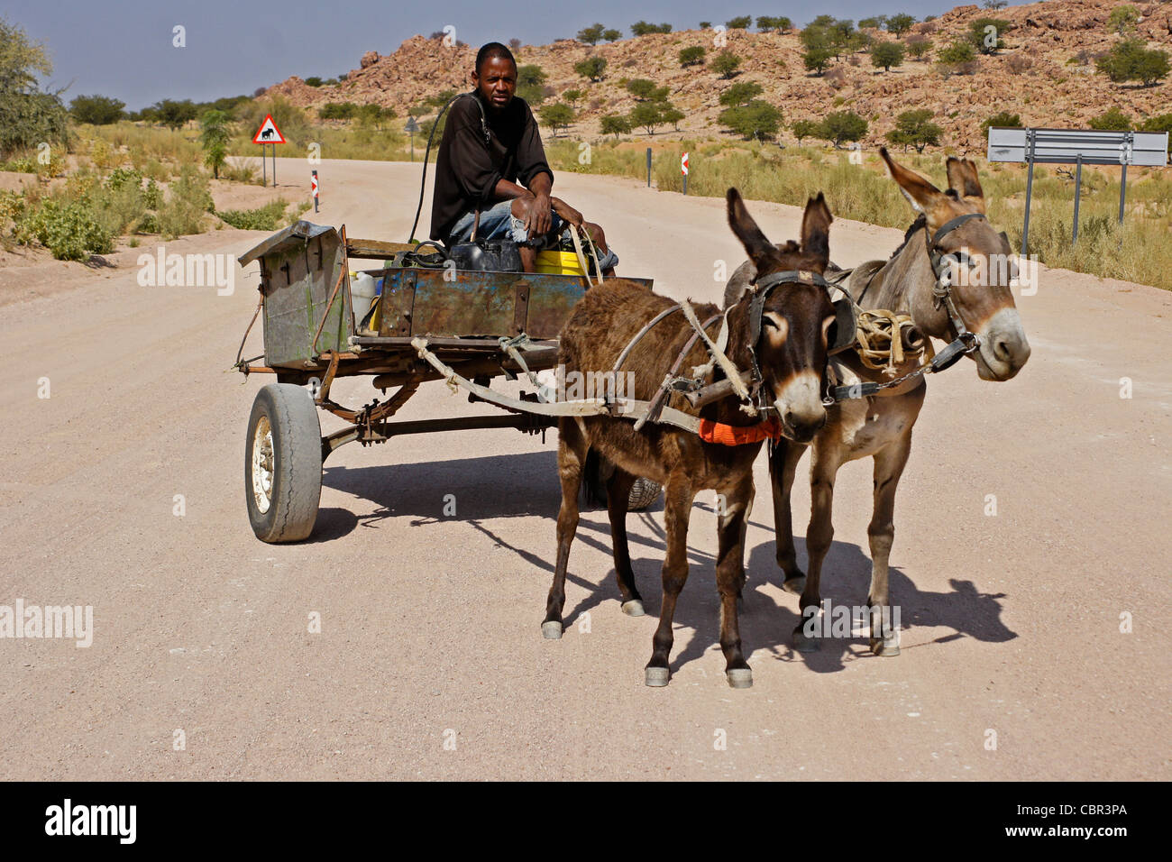Homme Herero sur charrette à âne, Damaraland, Namibie Banque D'Images