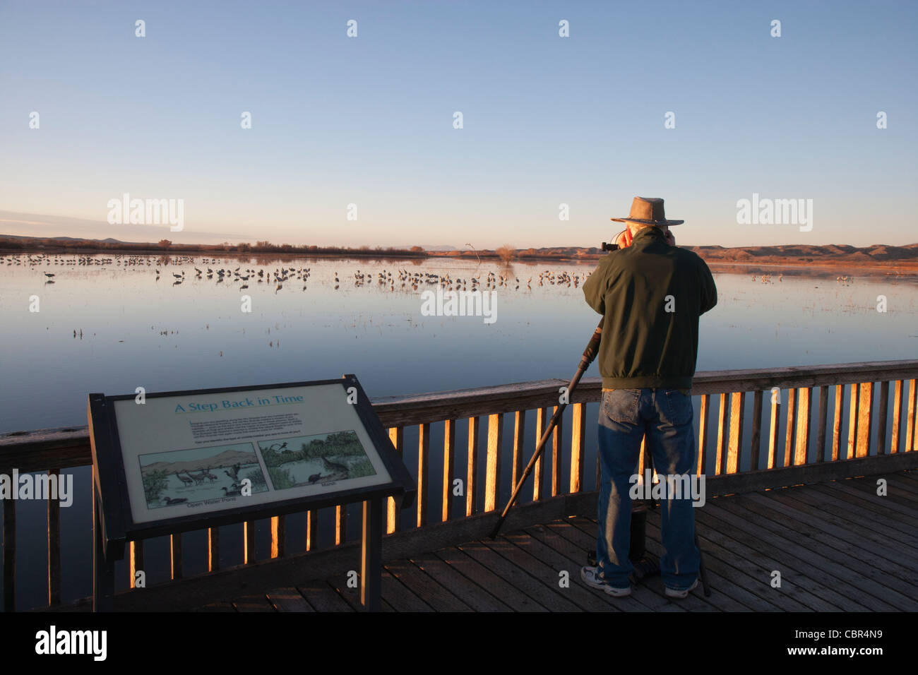 Photographe solitaire sur le pont de vol Bosque del Apache NWR Banque D'Images