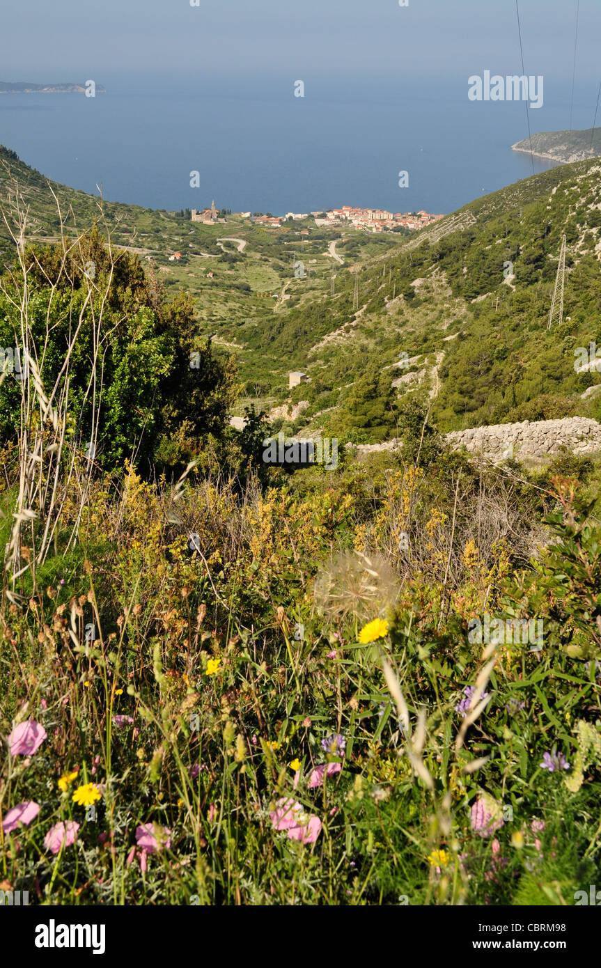 La beauté frappante de Komiza Harbour, île de Vis, Croatie, du sommet. L'emplacement de beaucoup de conflits et des partisans' bases. Banque D'Images