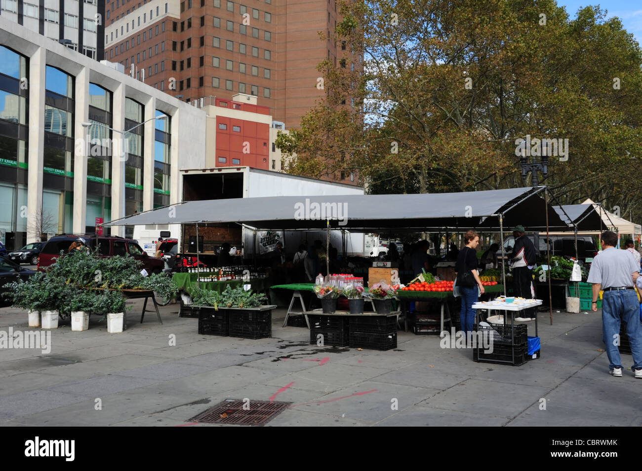 Ciel bleu de l'arborescence d'automne en plein air légumes verts cale et shoppers, Brooklyn Borough Hall Greenmarket, Columbus Plaza, NY Banque D'Images