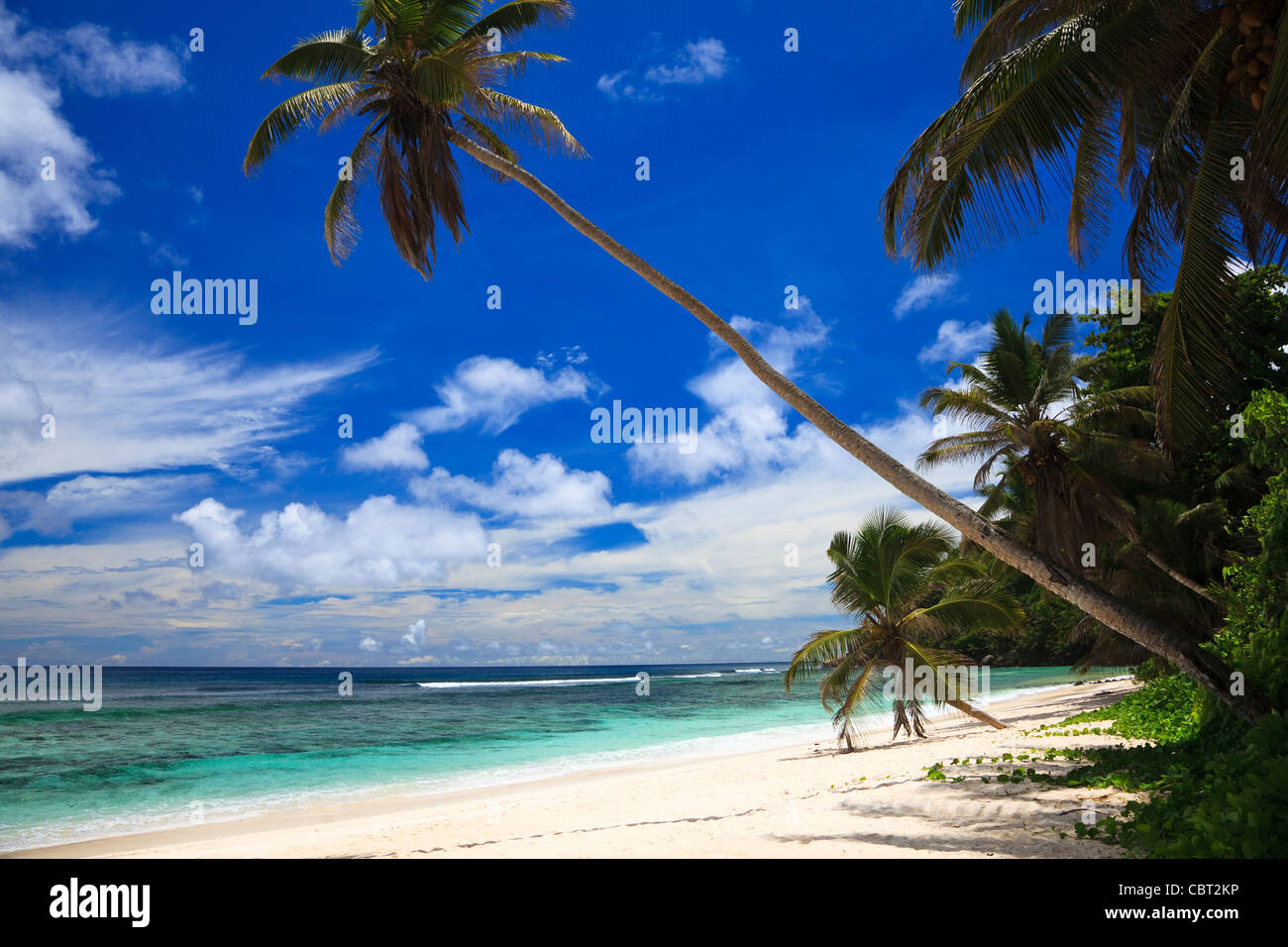 Anse Plage de Bougainville, l'île de Mahé, de l'Océan Indien, les Seychelles Banque D'Images
