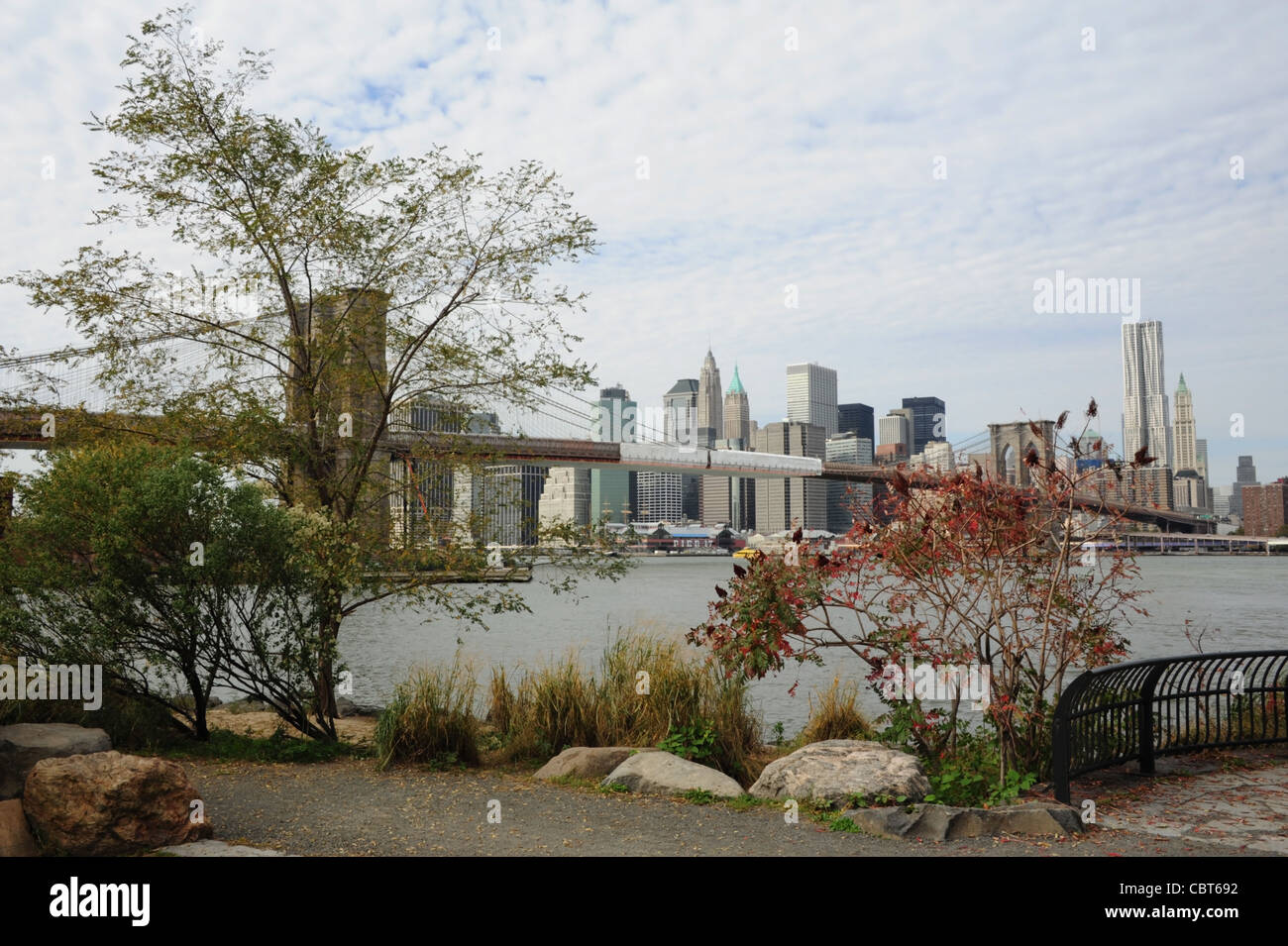 Les arbres d'automne voir l'East River, pont de Brooklyn, en direction de grattes-ciel de Manhattan Pier 17, de Fulton Ferry Park, Brooklyn Dumbo, NY Banque D'Images