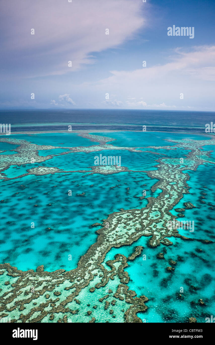 Vues aériennes de la spectaculaire Grande Barrière de Corail près de îles Whitsunday dans le Queensland, Australie. Banque D'Images