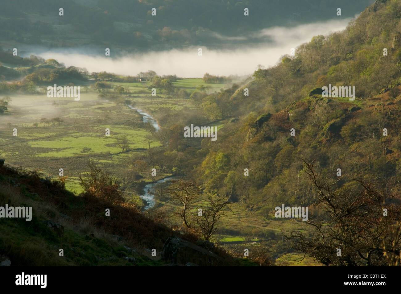 Brume matinale se trouvant à Nant Gwynant North Wales Snowdonia National Park Banque D'Images