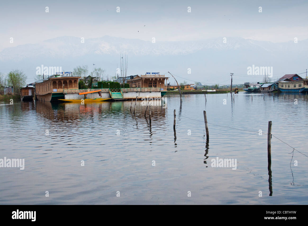 Un bateau de campagne et des maisons flottantes shikara dans le lac Dal de Srinagar, Cachemire, Inde Banque D'Images