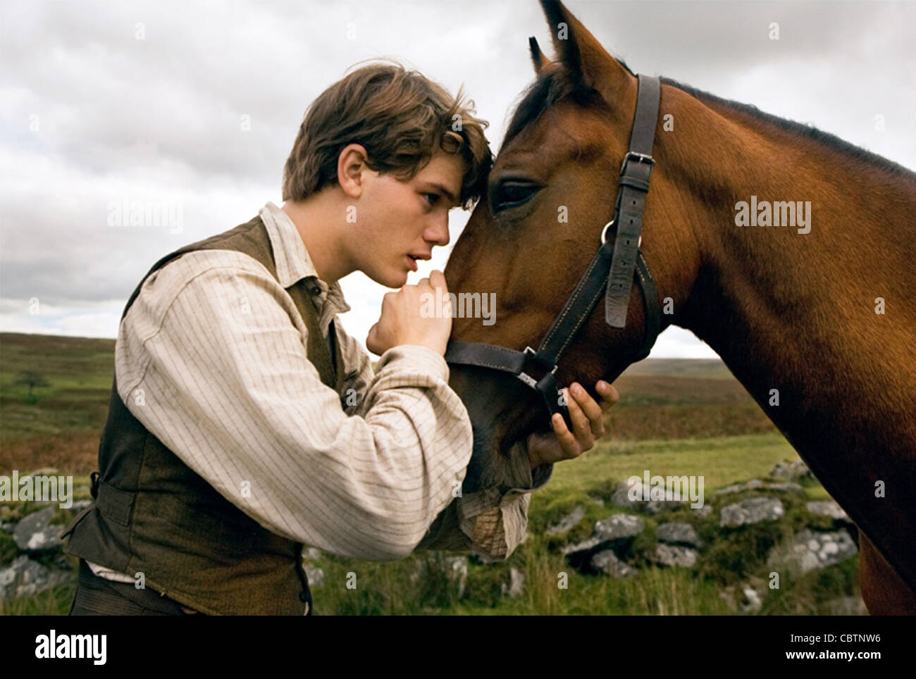 Cheval de guerre (2011) JEREMY IRVINE Steven Spielberg (DIR) 002 COLLECTION MOVIESTORE LTD Banque D'Images